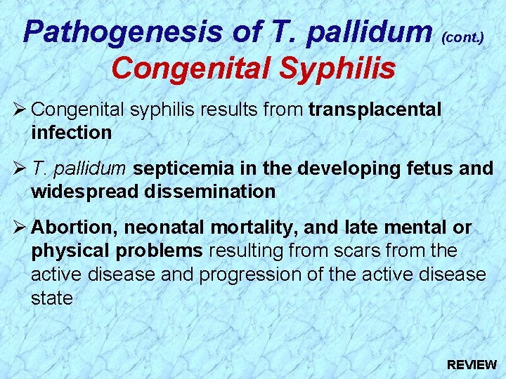 Pathogenesis of T. pallidum (cont. ) Congenital Syphilis Ø Congenital syphilis results from transplacental