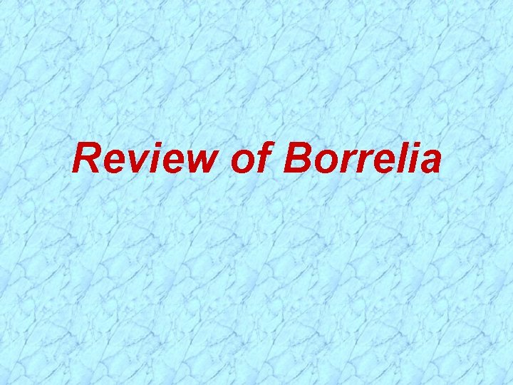 Review of Borrelia 
