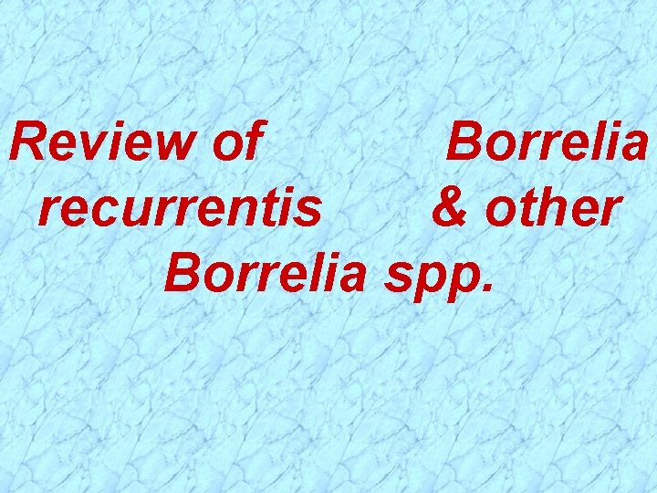 Review of Borrelia recurrentis & other Borrelia spp. 