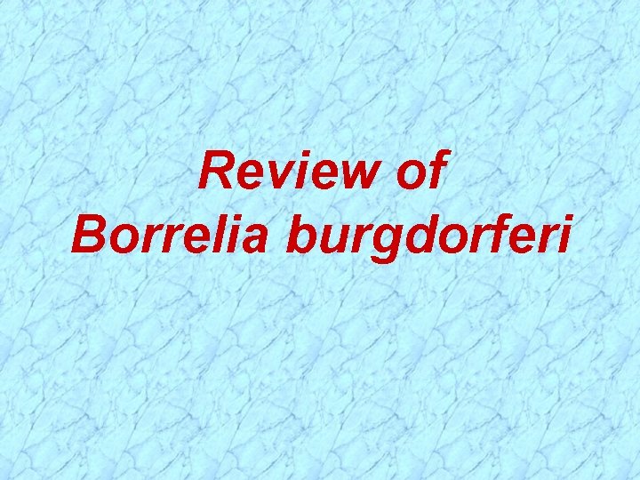 Review of Borrelia burgdorferi 