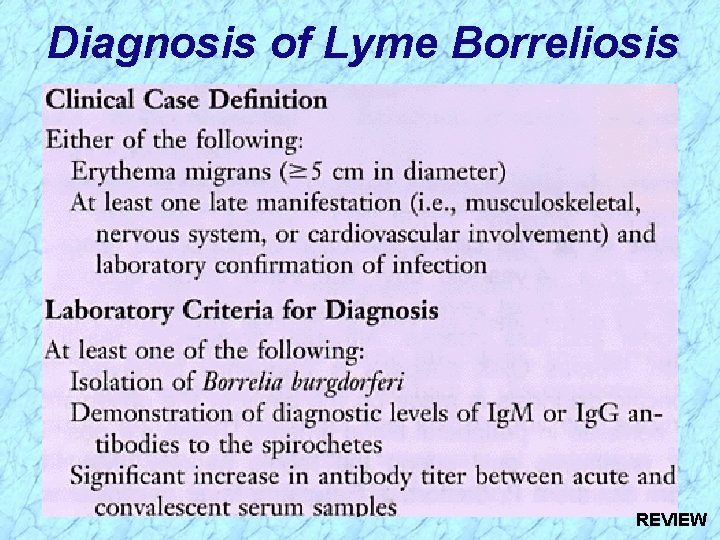 Diagnosis of Lyme Borreliosis REVIEW 