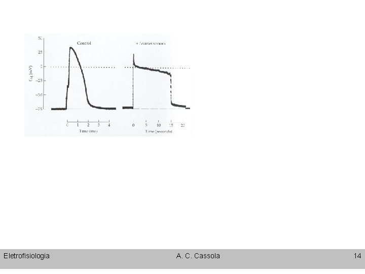 Eletrofisiologia A. C. Cassola 14 