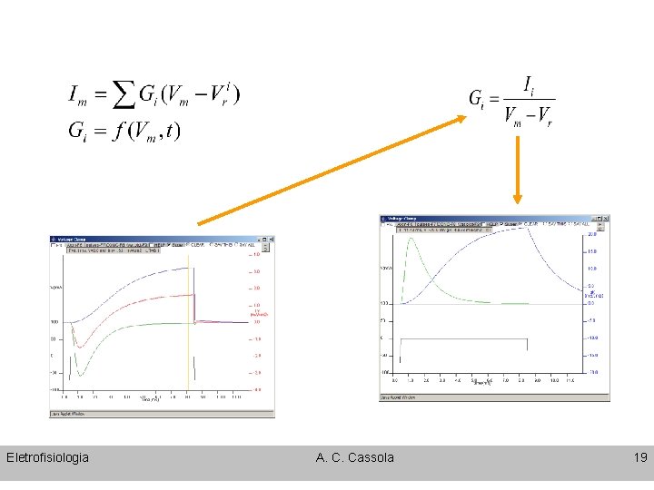 Eletrofisiologia A. C. Cassola 19 