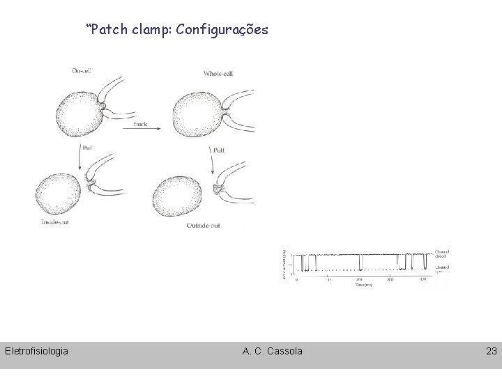 “Patch clamp: Configurações Eletrofisiologia A. C. Cassola 23 