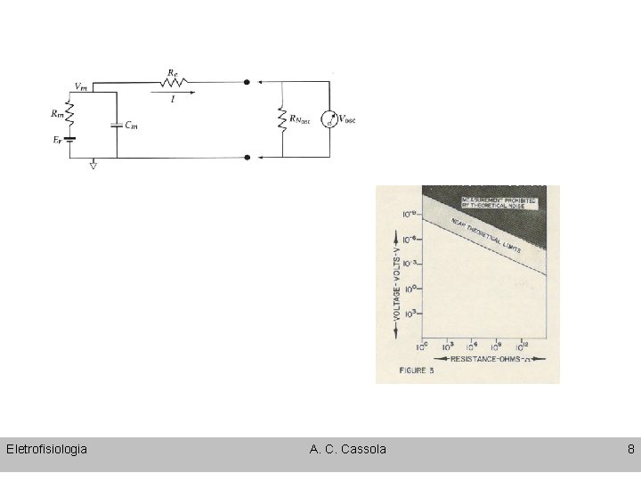 Eletrofisiologia A. C. Cassola 8 