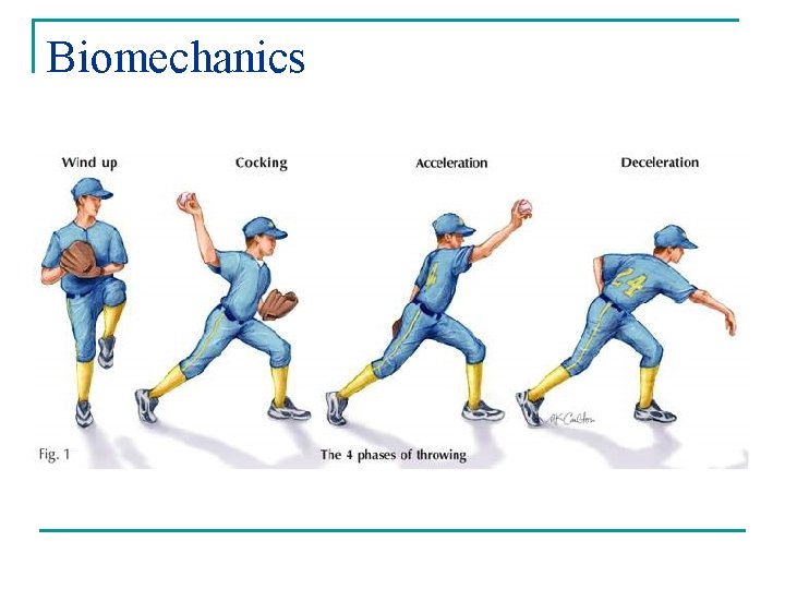 Biomechanics 