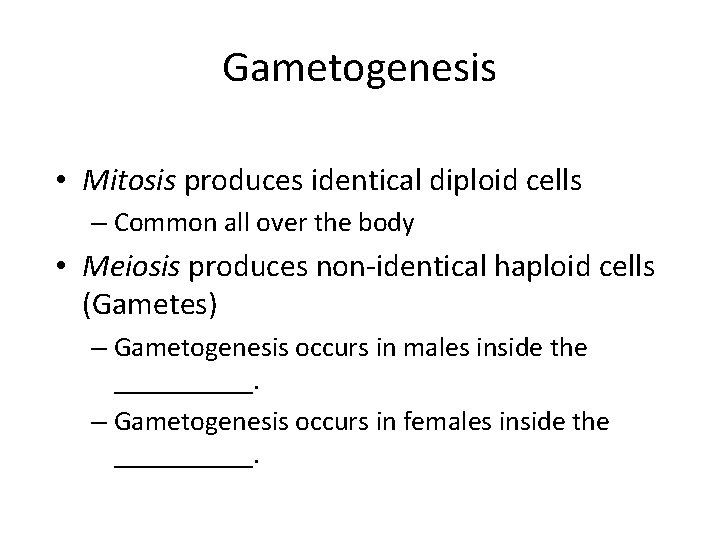 Gametogenesis • Mitosis produces identical diploid cells – Common all over the body •