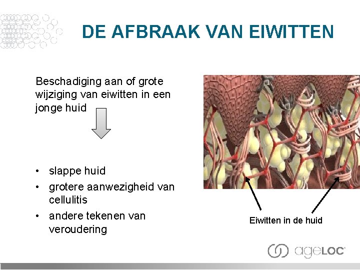 DE AFBRAAK VAN EIWITTEN Beschadiging aan of grote wijziging van eiwitten in een jonge