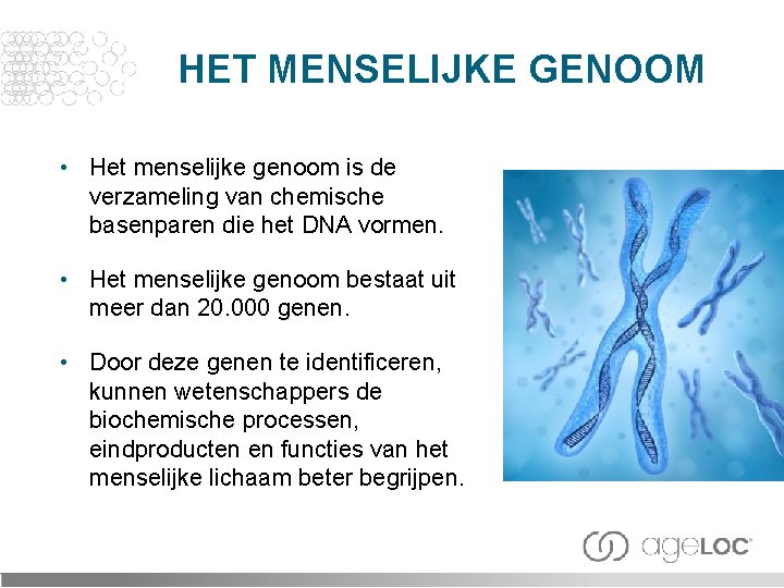 HET MENSELIJKE GENOOM • Het menselijke genoom is de verzameling van chemische basenparen die