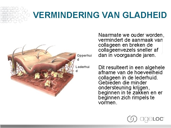 VERMINDERING VAN GLADHEID Opperhui d Lederhui d Naarmate we ouder worden, vermindert de aanmaak