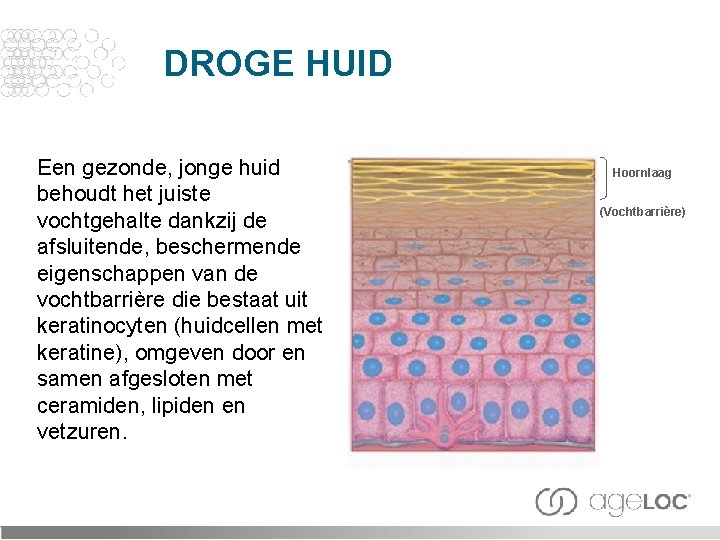 DROGE HUID Een gezonde, jonge huid behoudt het juiste vochtgehalte dankzij de afsluitende, beschermende