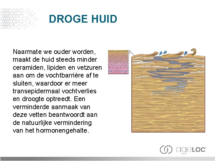 DROGE HUID Naarmate we ouder worden, maakt de huid steeds minder ceramiden, lipiden en