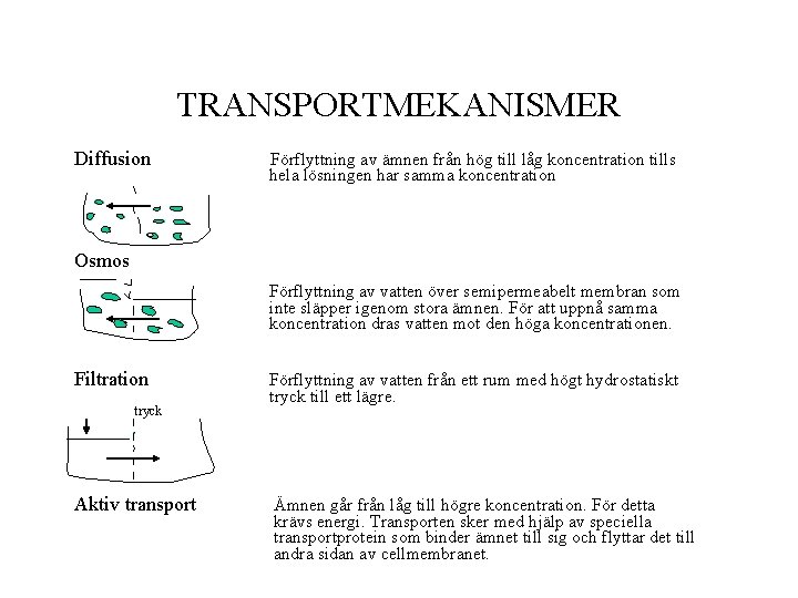 TRANSPORTMEKANISMER Diffusion Förflyttning av ämnen från hög till låg koncentration tills hela lösningen har TRANSPORTMEKANISMER Diffusion Förflyttning av ämnen från hög till låg koncentration tills hela lösningen har