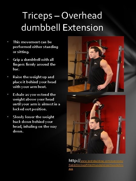 Triceps – Overhead dumbbell Extension • This movement can be performed either standing or