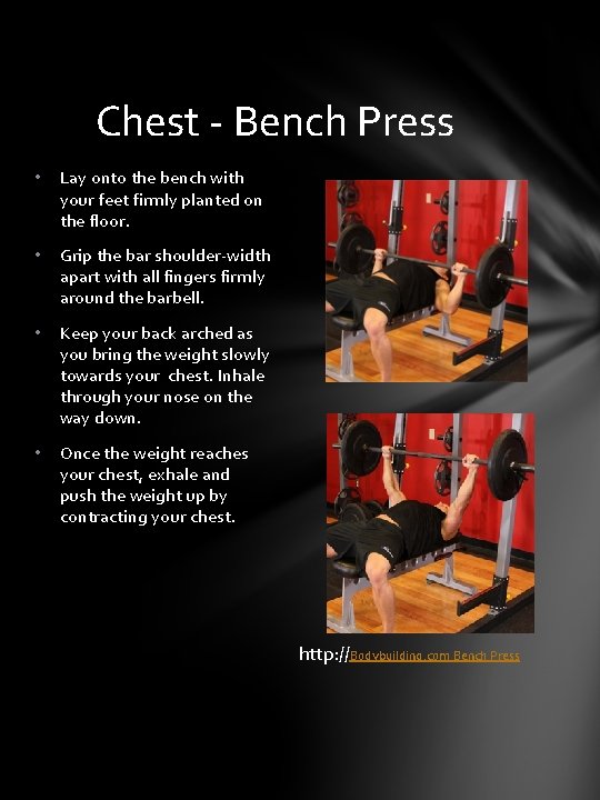 Chest - Bench Press • Lay onto the bench with your feet firmly planted