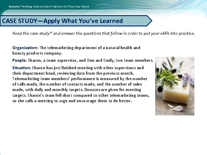 Systems Thinking: How to Solve Problems So They Stay Solved CASE STUDY—Apply What You’ve