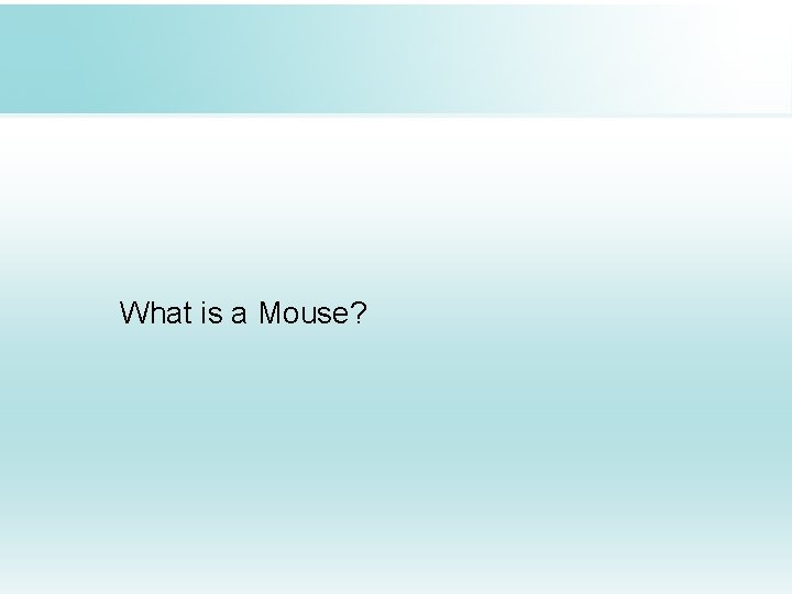 What is a Mouse? 