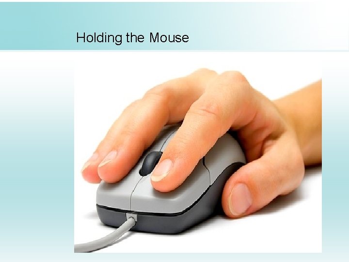 Holding the Mouse 