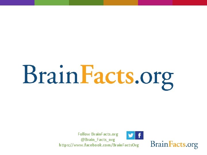 Follow Brain. Facts. org @Brain_Facts_org https: //www. facebook. com/Brain. Facts. Org 