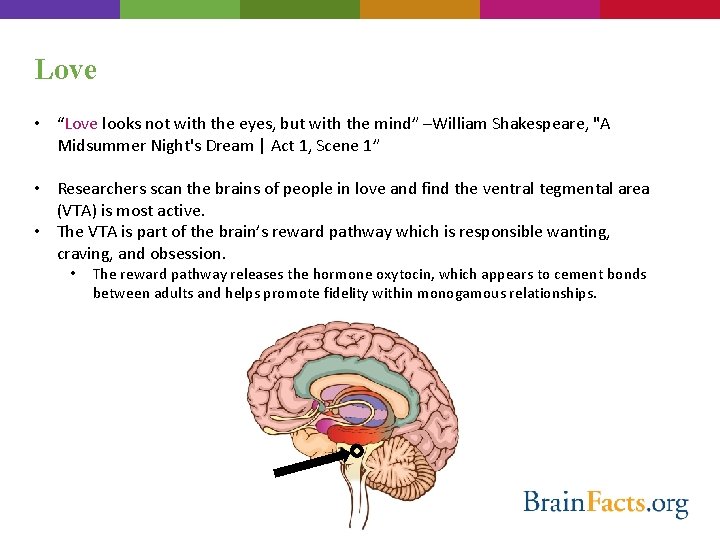 Love • “Love looks not with the eyes, but with the mind” –William Shakespeare,