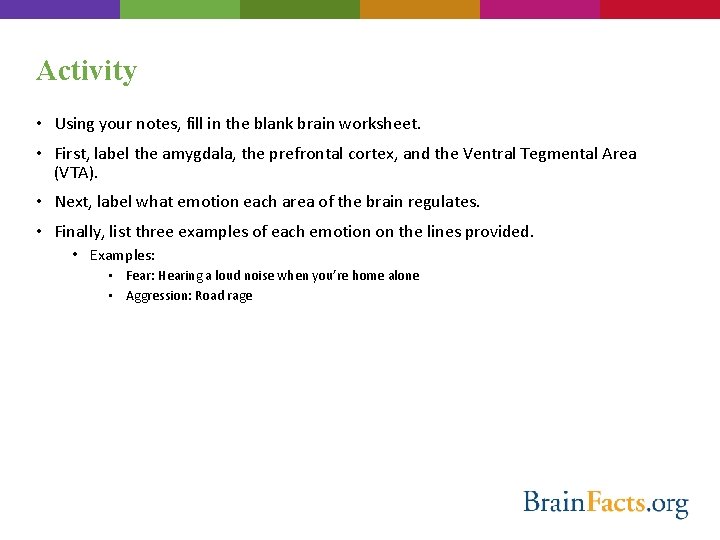 Activity • Using your notes, fill in the blank brain worksheet. • First, label