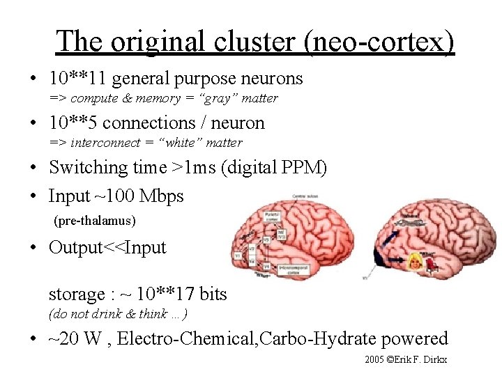 The original cluster (neo-cortex) • 10**11 general purpose neurons => compute & memory =
