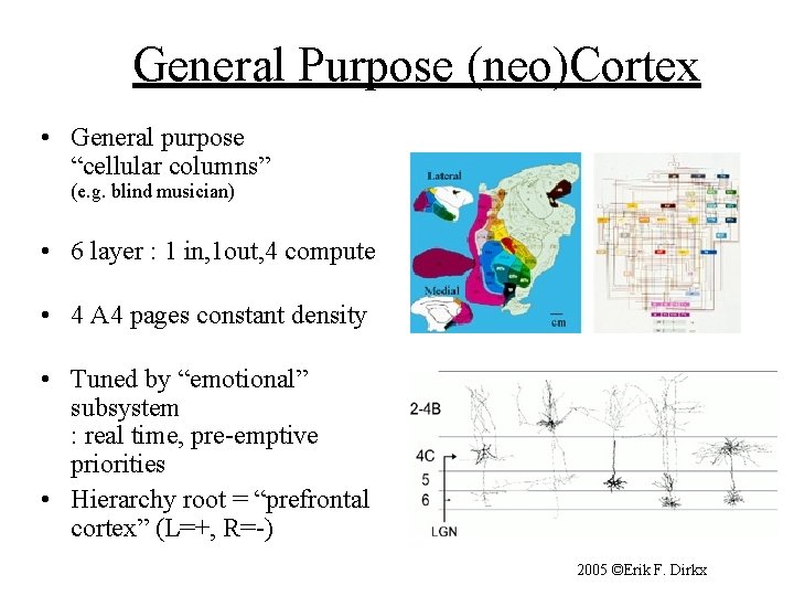 General Purpose (neo)Cortex • General purpose “cellular columns” (e. g. blind musician) • 6