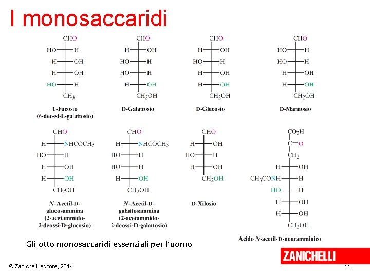 I monosaccaridi Gli otto monosaccaridi essenziali per l’uomo © Zanichelli editore, 2014 11 