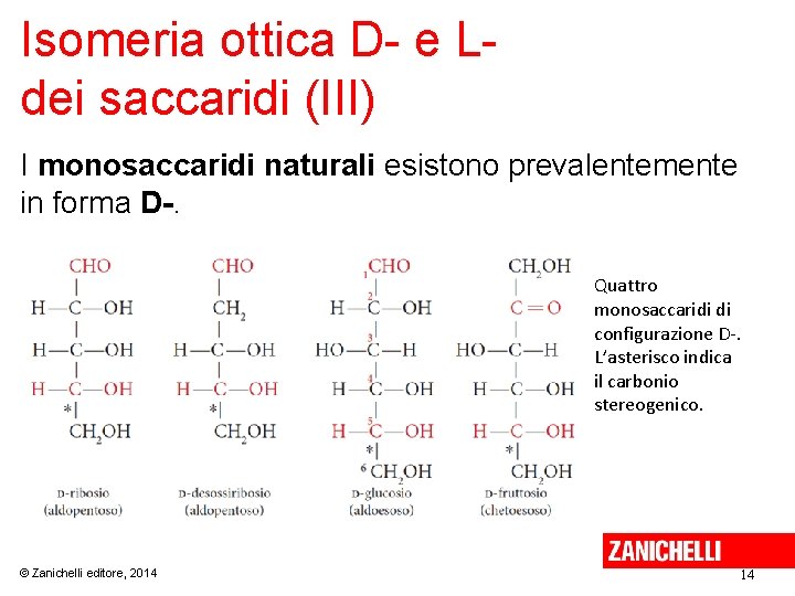Isomeria ottica D- e Ldei saccaridi (III) I monosaccaridi naturali esistono prevalentemente in forma