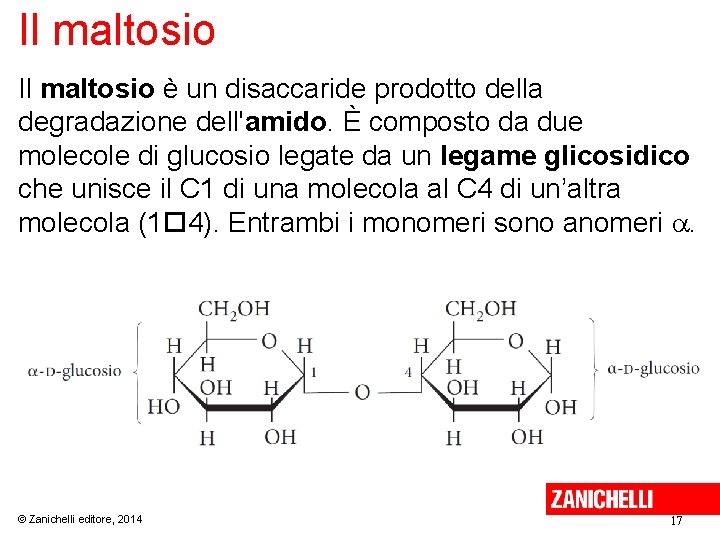 Il maltosio è un disaccaride prodotto della degradazione dell'amido. È composto da due molecole