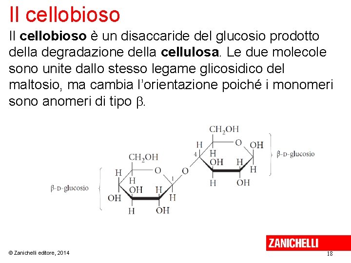 Il cellobioso è un disaccaride del glucosio prodotto della degradazione della cellulosa. Le due