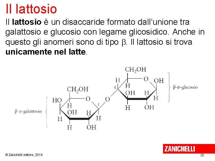 Il lattosio è un disaccaride formato dall’unione tra galattosio e glucosio con legame glicosidico.