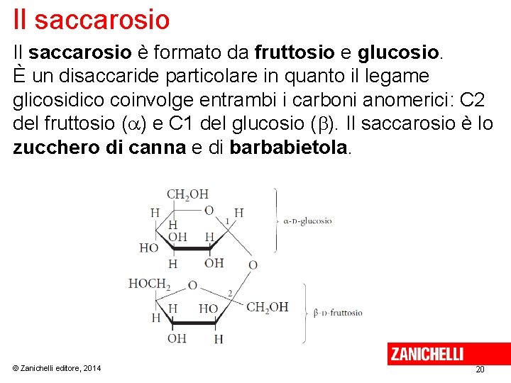 Il saccarosio è formato da fruttosio e glucosio. È un disaccaride particolare in quanto