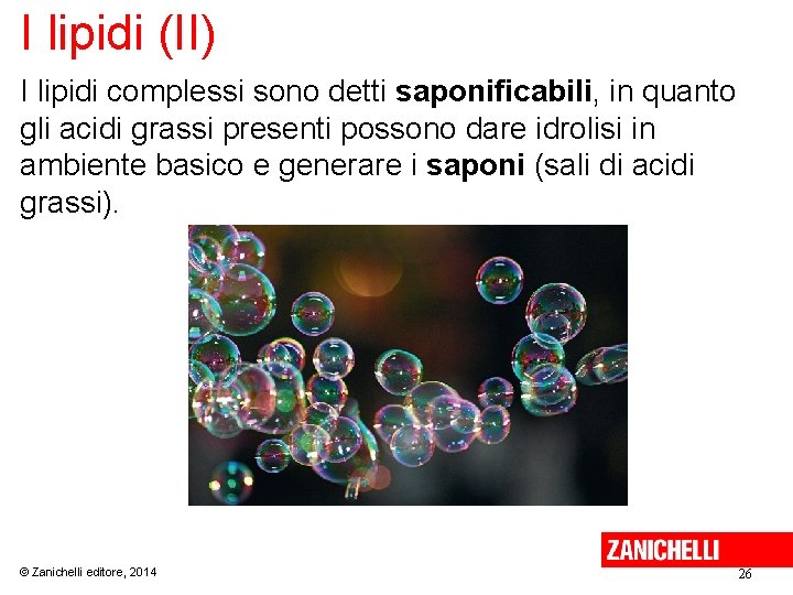 I lipidi (II) I lipidi complessi sono detti saponificabili, in quanto gli acidi grassi