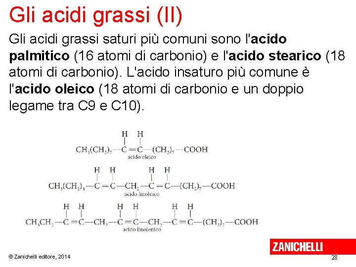 Gli acidi grassi (II) Gli acidi grassi saturi più comuni sono l'acido palmitico (16