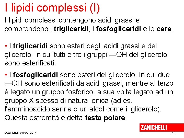 I lipidi complessi (I) I lipidi complessi contengono acidi grassi e comprendono i trigliceridi,