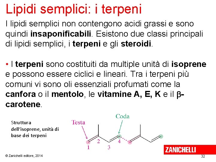 Lipidi semplici: i terpeni I lipidi semplici non contengono acidi grassi e sono quindi