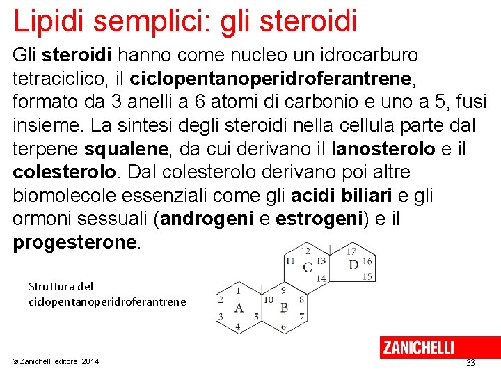 Lipidi semplici: gli steroidi Gli steroidi hanno come nucleo un idrocarburo tetraciclico, il ciclopentanoperidroferantrene,