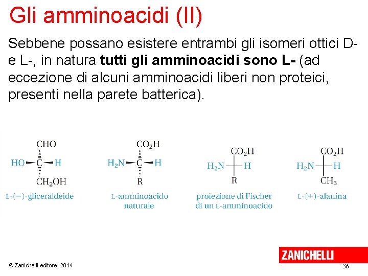Gli amminoacidi (II) Sebbene possano esistere entrambi gli isomeri ottici De L-, in natura