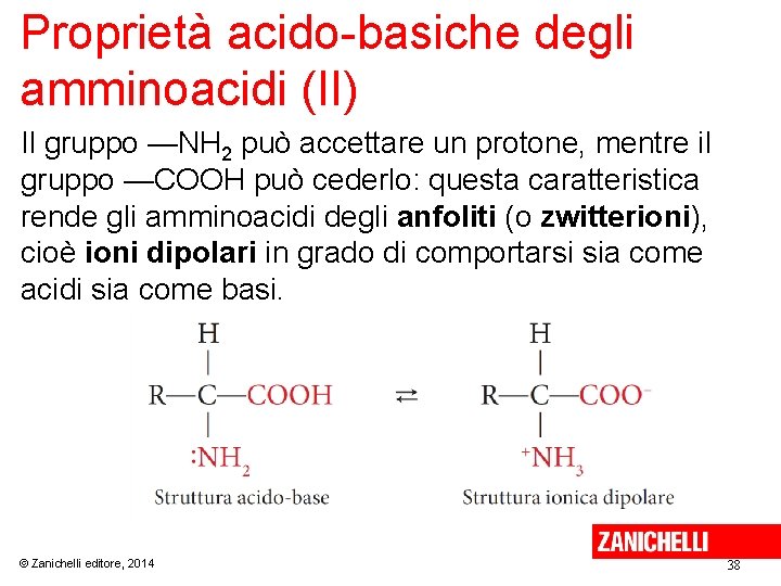 Proprietà acido-basiche degli amminoacidi (II) Il gruppo —NH 2 può accettare un protone, mentre