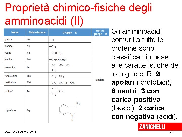 Proprietà chimico-fisiche degli amminoacidi (II) Gli amminoacidi comuni a tutte le proteine sono classificati