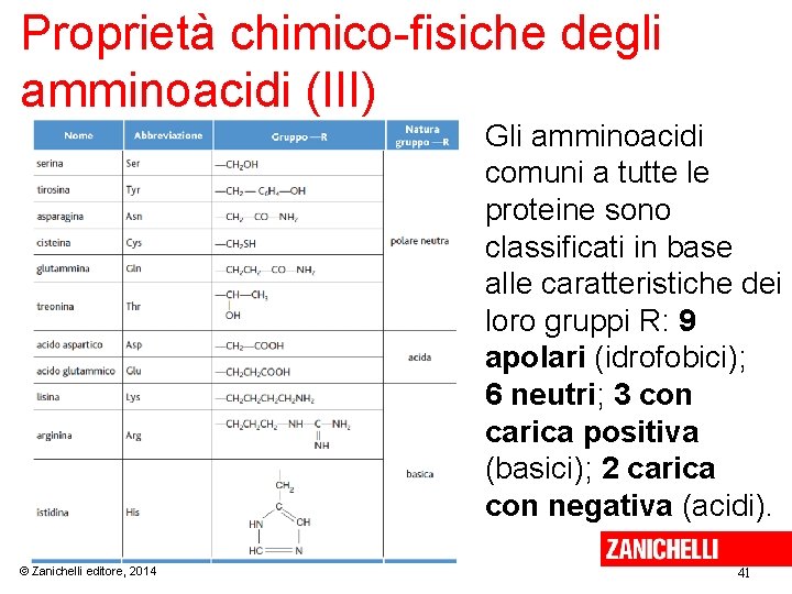 Proprietà chimico-fisiche degli amminoacidi (III) Gli amminoacidi comuni a tutte le proteine sono classificati