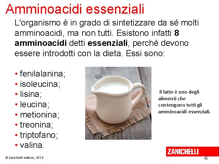 Amminoacidi essenziali L'organismo è in grado di sintetizzare da sé molti amminoacidi, ma non