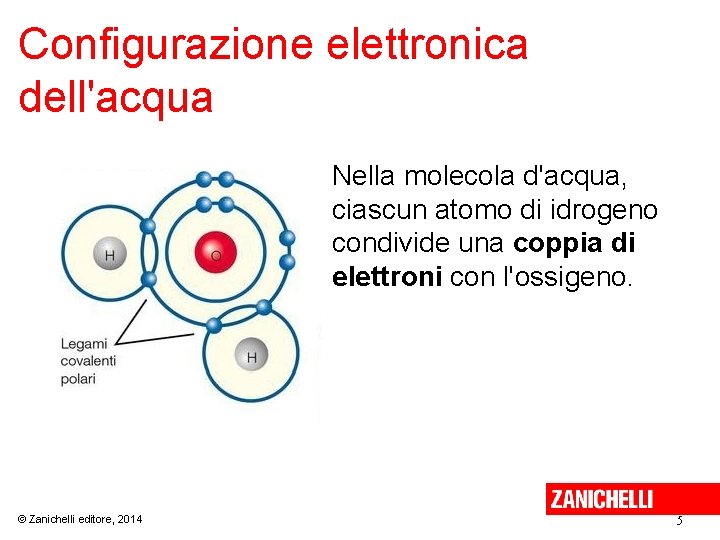 Configurazione elettronica dell'acqua Nella molecola d'acqua, ciascun atomo di idrogeno condivide una coppia di