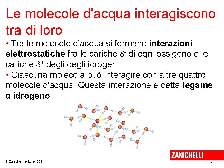 Le molecole d'acqua interagiscono tra di loro • Tra le molecole d’acqua si formano