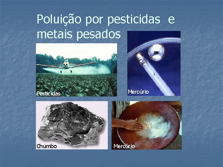 Poluição por pesticidas e metais pesados Pesticidas Chumbo Mercúrio 