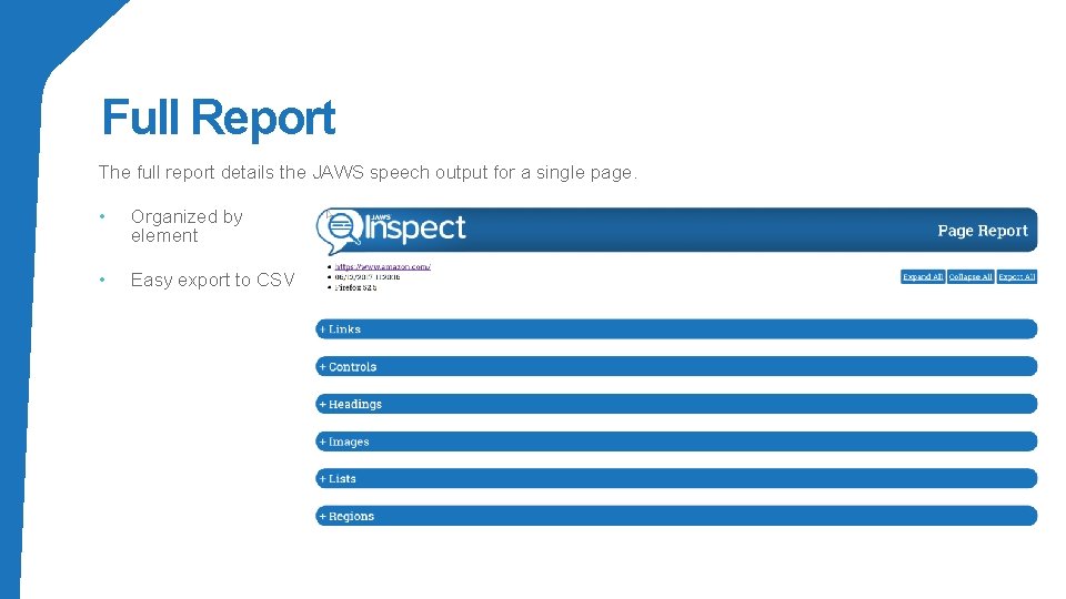 Full Report The full report details the JAWS speech output for a single page.
