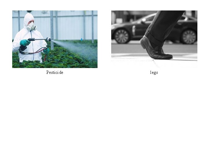Pesticide legs Pesticide legs
