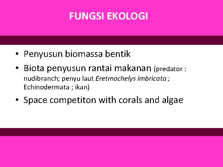 FUNGSI EKOLOGI • Penyusun biomassa bentik • Biota penyusun rantai makanan (predator : nudibranch;