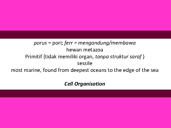 porus = pori; ferr = mengandung/membawa hewan metazoa Primitif (tidak memiliki organ, tanpa struktur